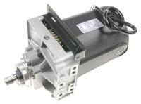 Moteur Scie