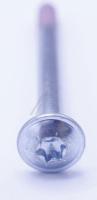 ELECTROLUX / AEG Schroef                                                      3878731441