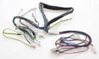 ELECTROLUX / AEG Kabelboom                                                    1560117135