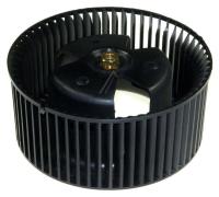Boschsiemens Wals                                                         00095787