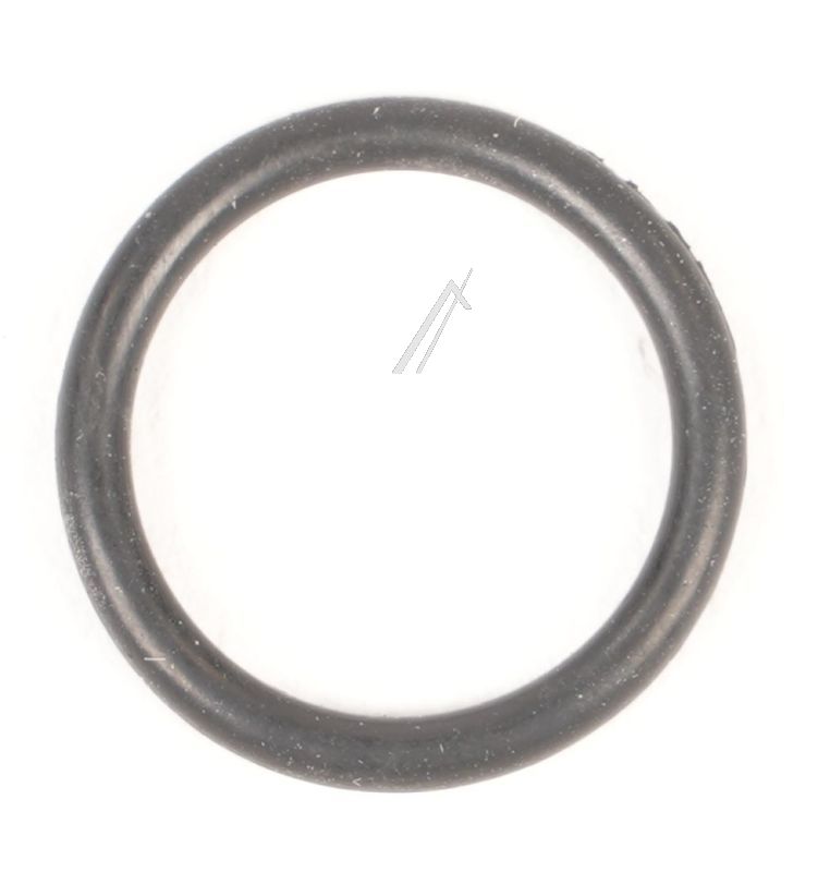 Boschsiemens Afdichting                                                   10018648
