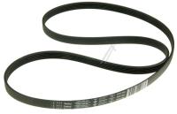Amica Poly-v-snaar                                                 1024385