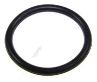 Amica O-ring                                                       1070004