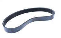 Dewalt Snaar                                                        N538640