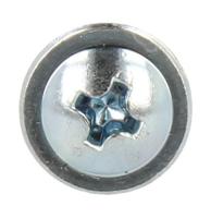 Amica Schroef                                                      8017023