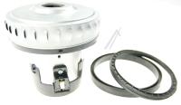 Nilfisk Motoren                                                      31000856