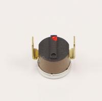ELBA / DELONGHI Temperaturbegrenzer                                          066080