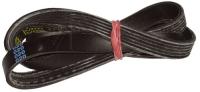 WHIRLPOOL/INDESIT Poly-v-riemen                                                481281728295