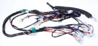 HISENSE/GORENJE Kabelboom                                                    321844