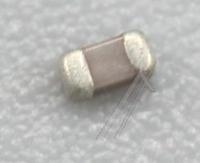 Panasonic Composants passifs                                           F1G1H220A834