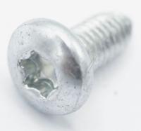 WHIRLPOOL/INDESIT Schroef                                                      481250218741