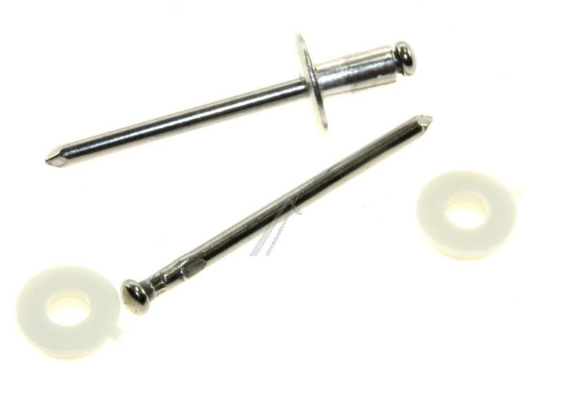 Boschsiemens Vis                                                          00151527