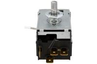 Amica Thermostate                                                  1031101