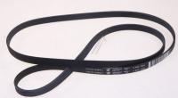 WHIRLPOOL/INDESIT Snaar                                                        480111101149