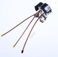 Smeg Motor                                                        819130583