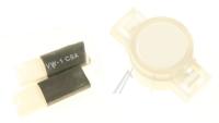 Boschsiemens Knop                                                         10021093