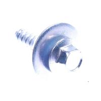 HISENSE/GORENJE Schroef                                                      862660