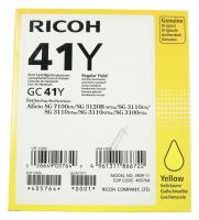 Ricoh Inktpatronen                                                 405764