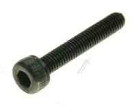 Amica Schroef                                                      1035749
