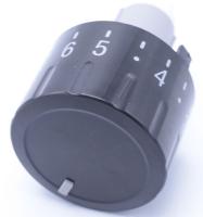 Boschsiemens Boutons                                                      00625891