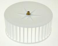 HISENSE/GORENJE Waaiers                                                      248778