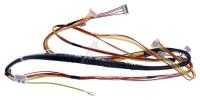 WHIRLPOOL/INDESIT Kabelboom                                                    488000630838