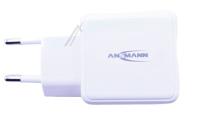 Ansmann Reisladers                                                   10010111