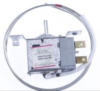 KEG Thermostate                                                  1190030149