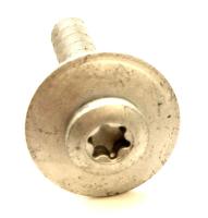 WHIRLPOOL/INDESIT Vis                                                          488000666217