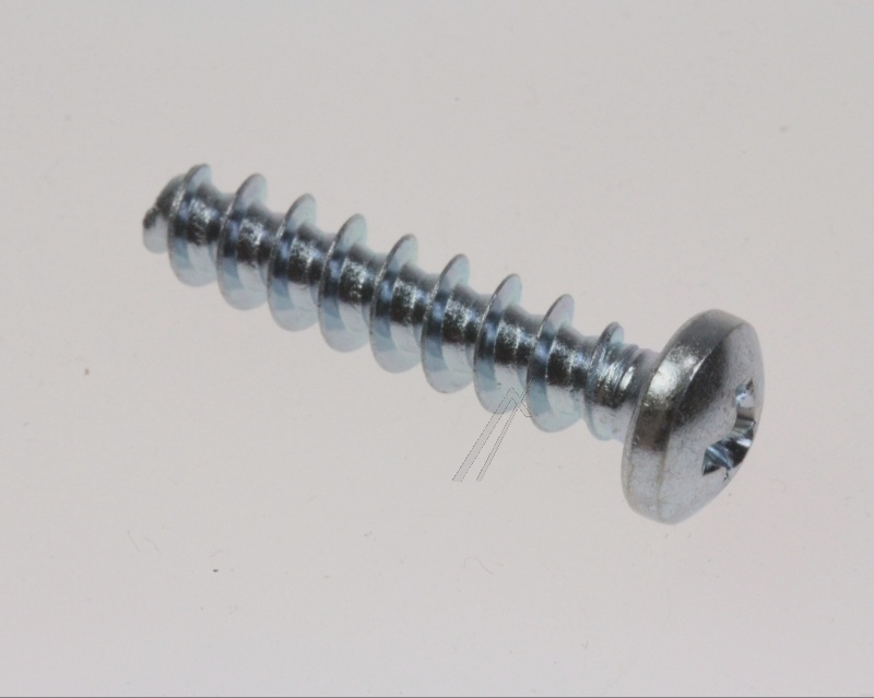 Boschsiemens Schroef                                                      00619045