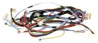 WHIRLPOOL/INDESIT Kabelboom                                                    488000291899