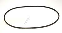 Boschsiemens Snaar                                                        00109078