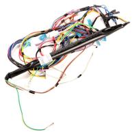 Amica Faisceaux de cables                                          1041845