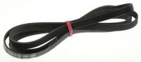 Amica Poly-v-riemen                                                1033913