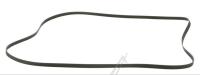 WHIRLPOOL/INDESIT Poly-v-snaar                                                 481281728435