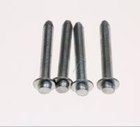 Boschsiemens Vis                                                          00426834