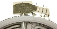 Boschsiemens Stralingselementen 1-rings                                   11008731