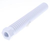 Boschsiemens Voet                                                         12047136