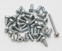 Boschsiemens Schroef                                                      00607781