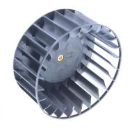 Boschsiemens Waaiers                                                      11005350