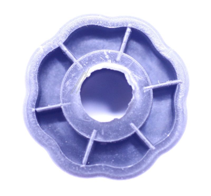 HISENSE/GORENJE Voet                                                         HK2205360