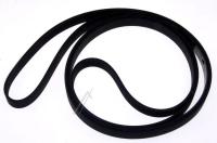 Haier Poly-v-snaar                                                 49053412