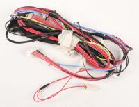 ELECTROLUX / AEG Faisceaux de cables                                          140127924052