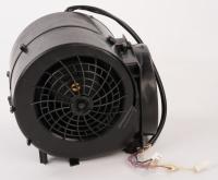 Boschsiemens Motoren                                                      20005421