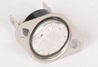 Boschsiemens Temperaturbegrenzer                                          10011745