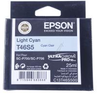 Epson Inktpatronen                                                 C13T46S500