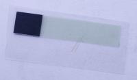 Samsung Plakfolie                                                    GH0224429B