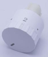 Amica Knevel                                                       9066841