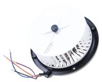 HISENSE/GORENJE Moteurs                                                      248776