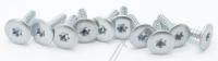 Boschsiemens Schroef                                                      00173166